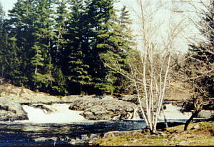Earley Landing Falls